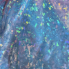 holo celeste